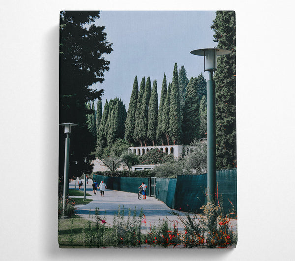  A Canvas Print of Green Cypress Path Canvas Print