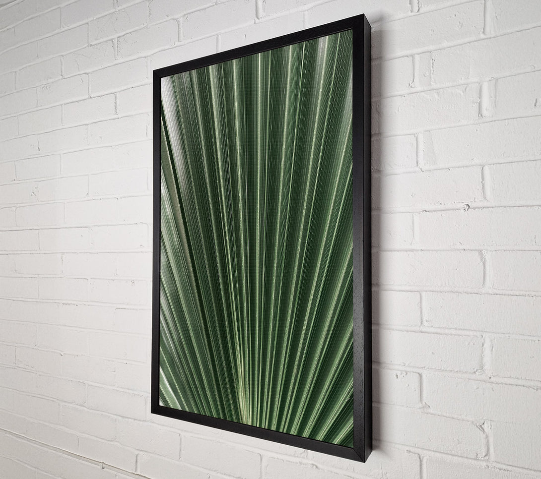  A Canvas Print of Emerald Palm Fan Canvas Art