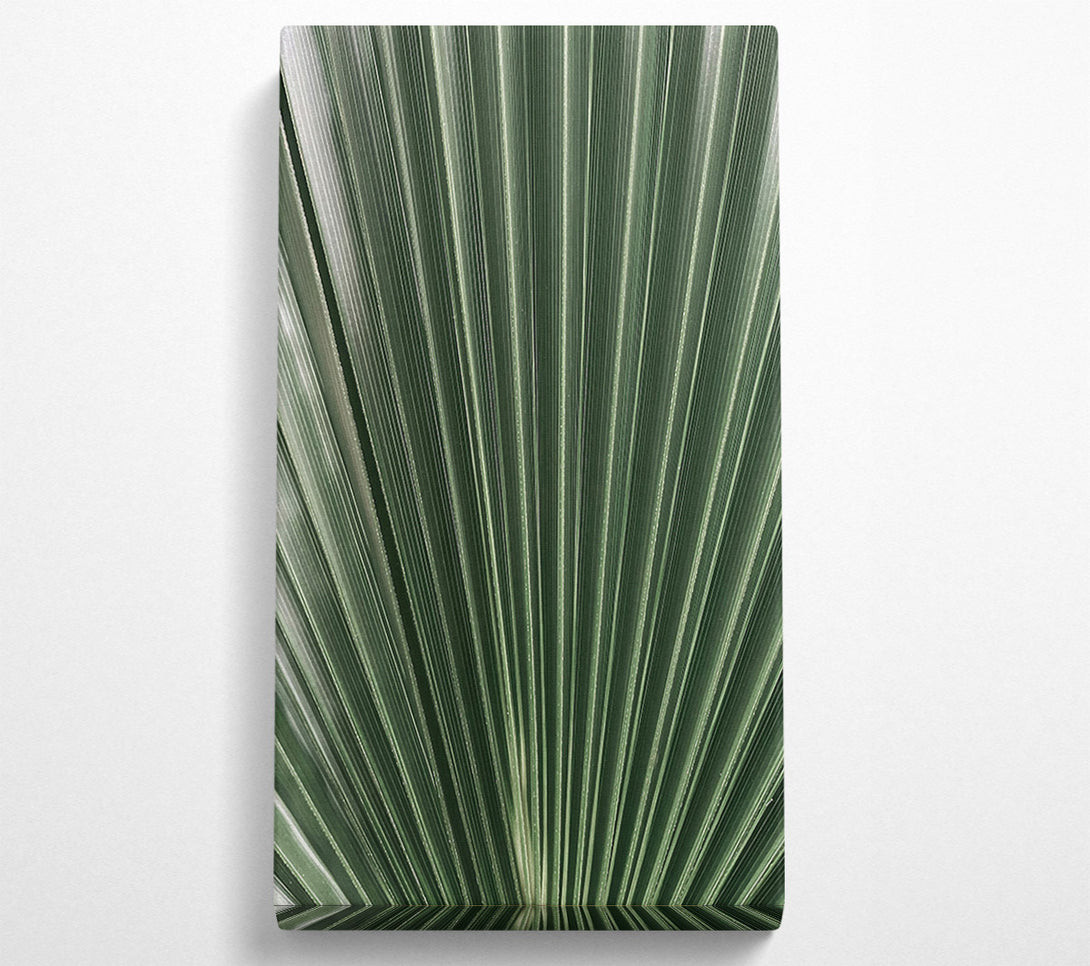  A Canvas Print of Emerald Palm Fan Canvas Art