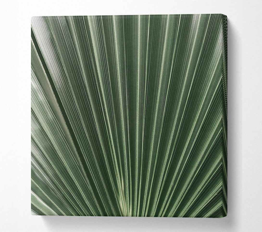  A Canvas Print of Emerald Palm Fan Canvas Art