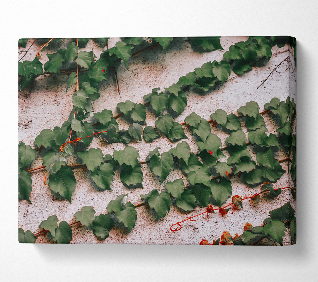  A Canvas Print of Emerald Green Vines Canvas Wall Art