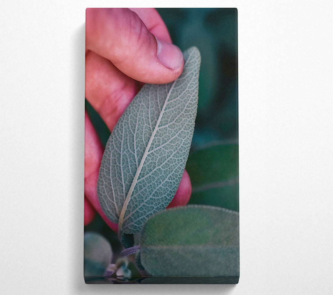  A Canvas Print of Silver Green Veins Canvas Art