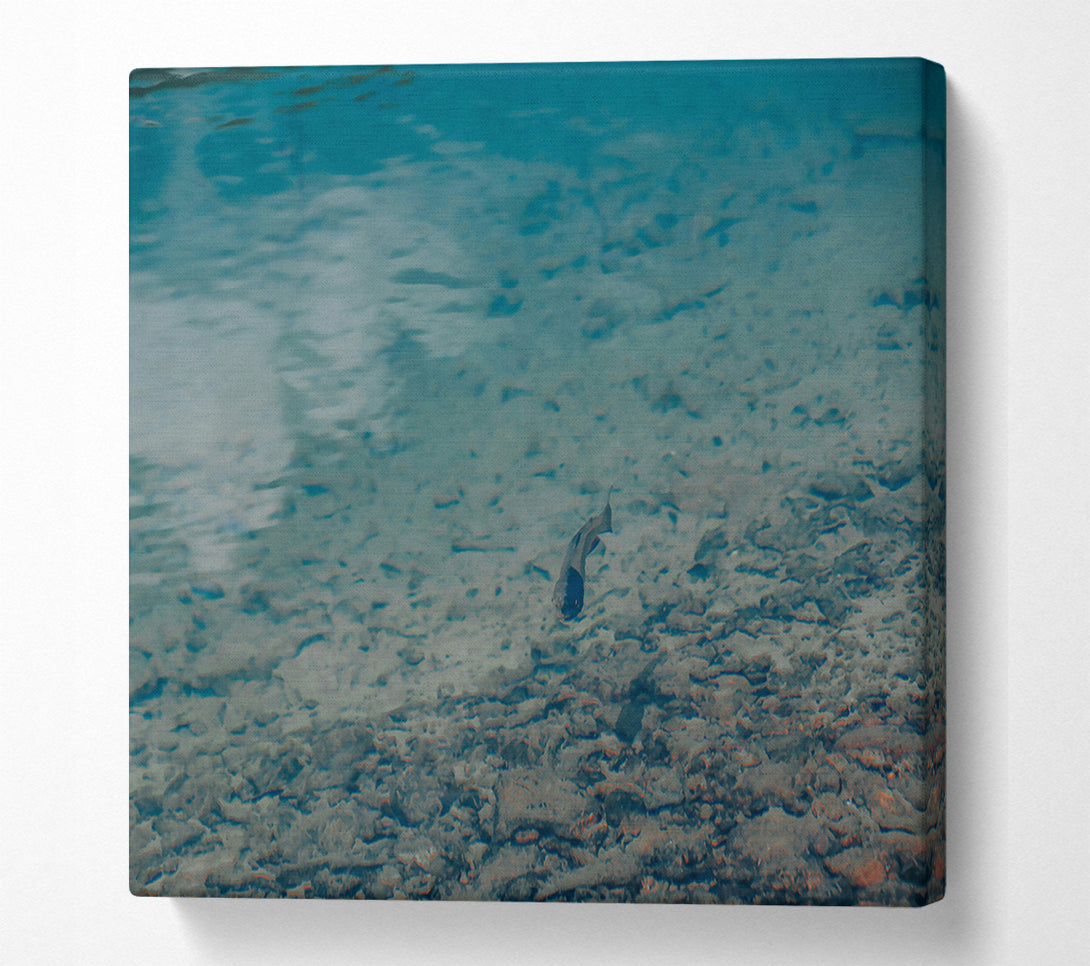  A Canvas Print of Azure Water'S Embrace Canvas Art