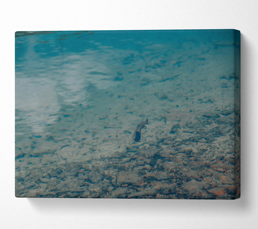  A Canvas Print of Azure Water'S Embrace Canvas Art