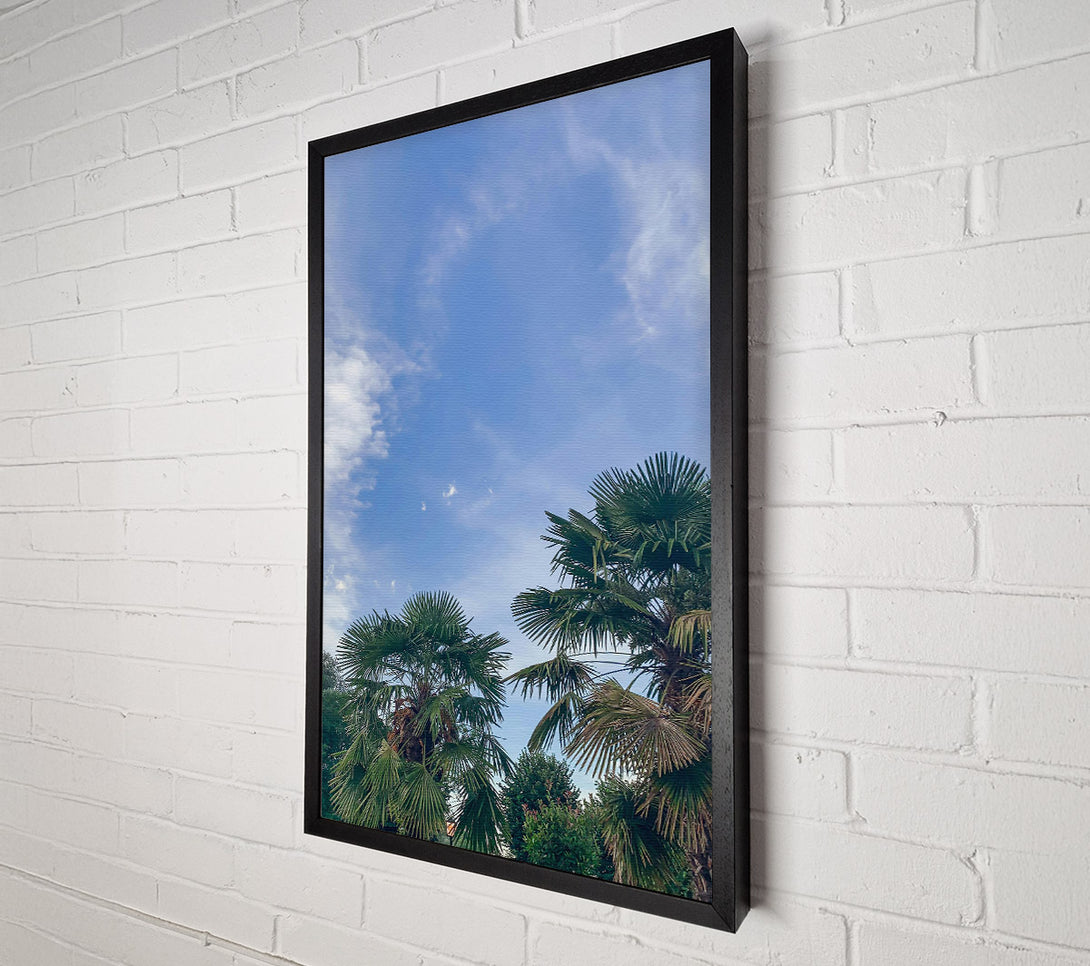  A Canvas Print of Azure Sky Palms Canvas Print