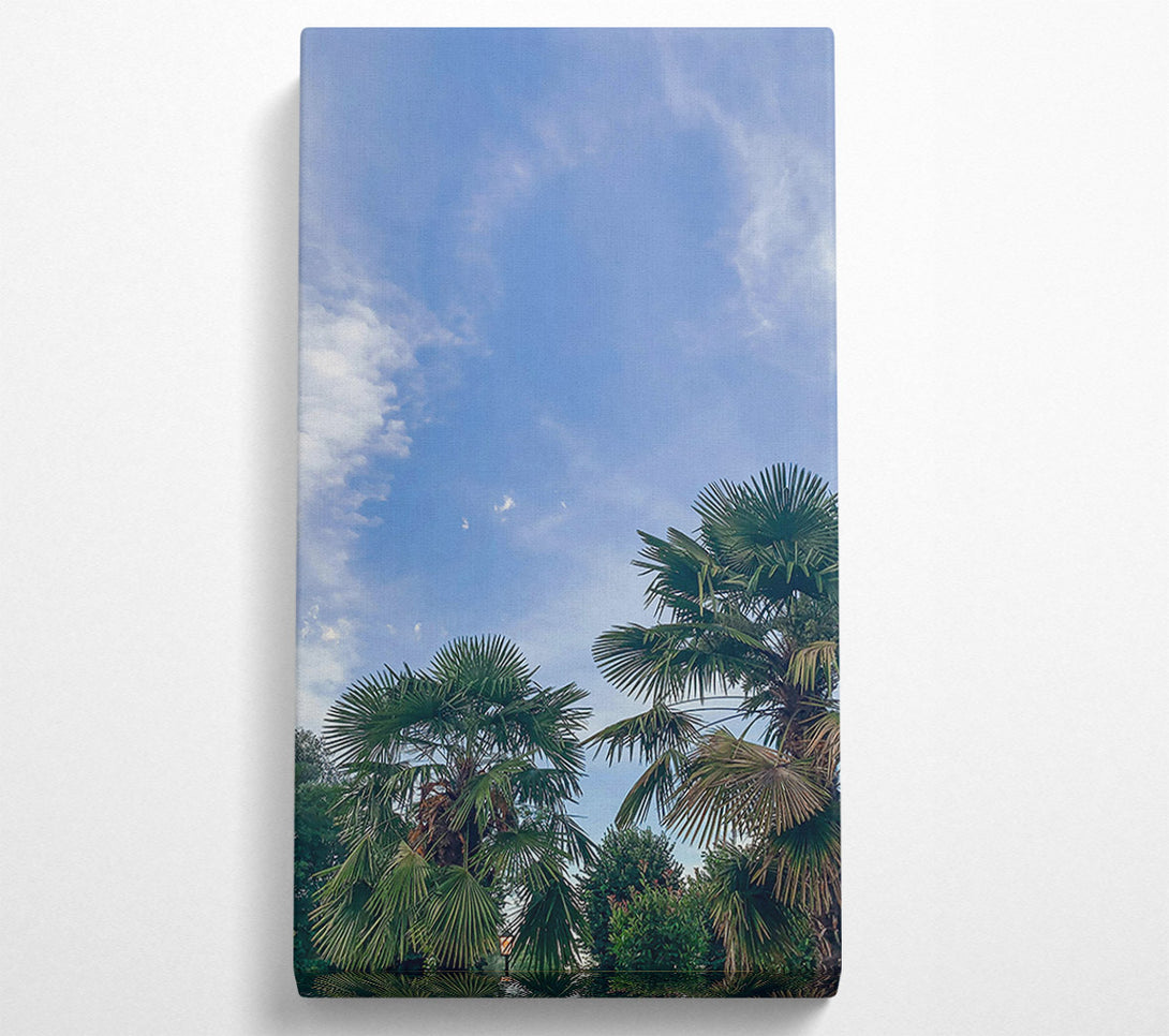  A Canvas Print of Azure Sky Palms Canvas Print