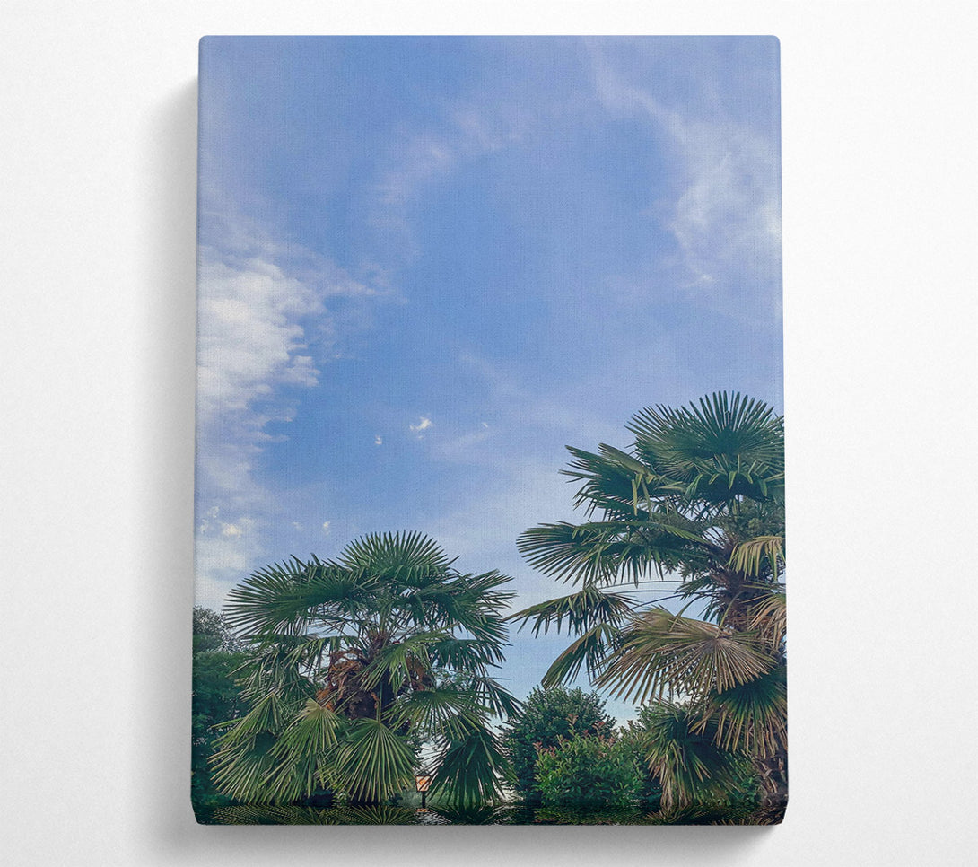  A Canvas Print of Azure Sky Palms Canvas Print