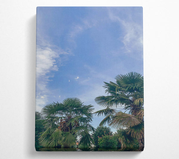  A Canvas Print of Azure Sky Palms Canvas Print