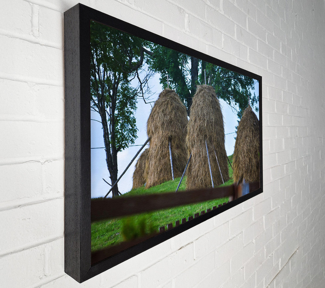  A Canvas Print of Golden Haystacks In Green Canvas Wall Art