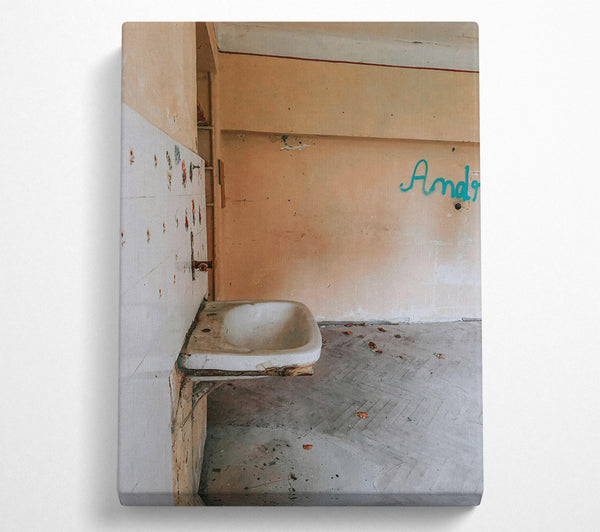  A Canvas Print of Forgotten Peach Sink Canvas Art
