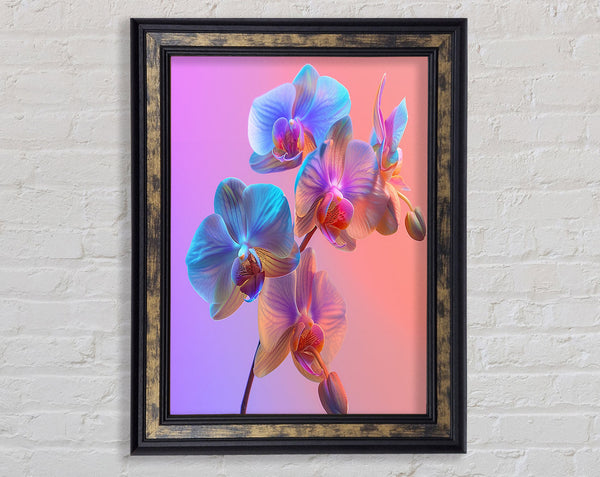 Orchid Blues And Purples Framed Print