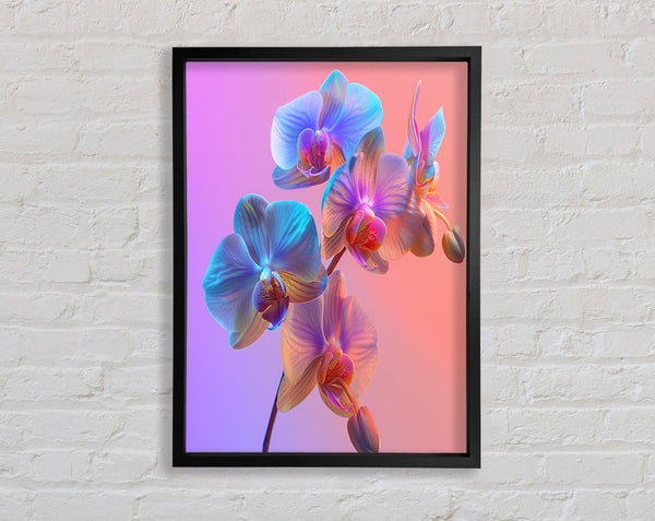 Orchid Blues And Purples Framed Print