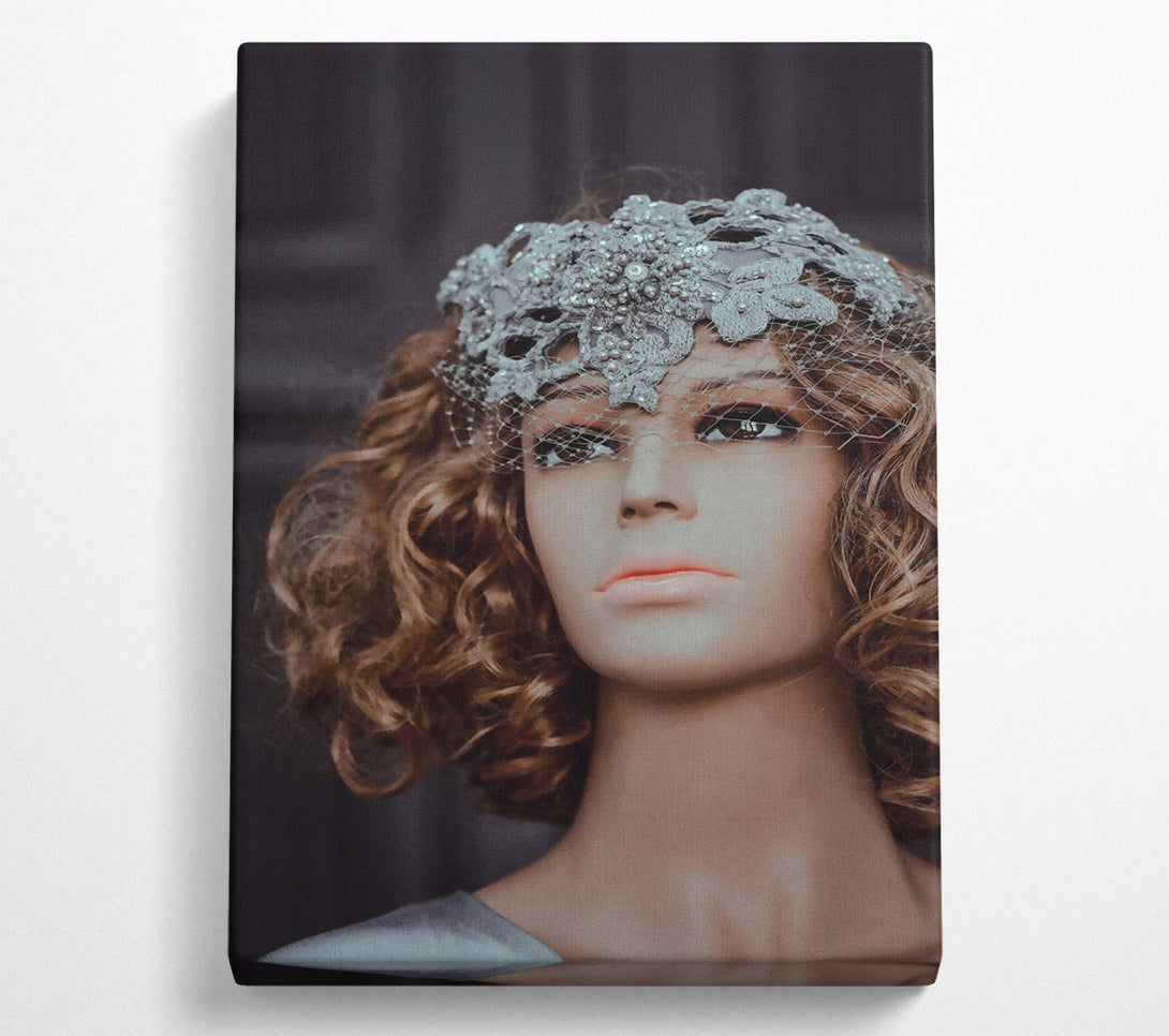  A Canvas Print of Silver Lace Veil Canvas Wall Art
