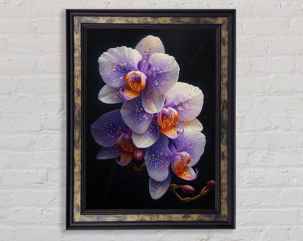 Orchid Lilac Dream Framed Print