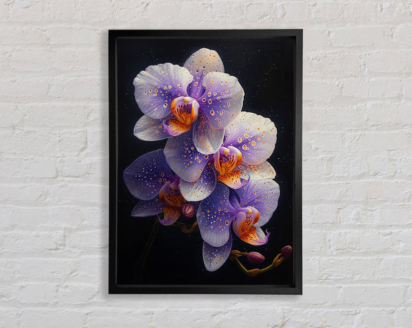 Orchid Lilac Dream Framed Print