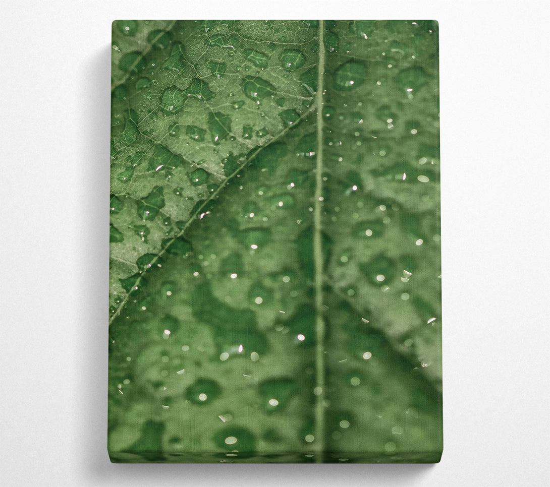  A Canvas Print of Emerald Dew Drops Canvas Wall Art