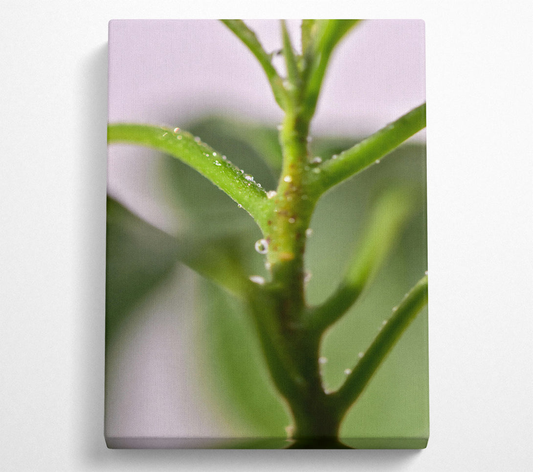  A Canvas Print of Emerald Dew Drops Canvas Wall Art