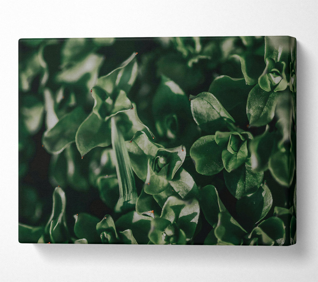  A Canvas Print of Loading... Canvas Print