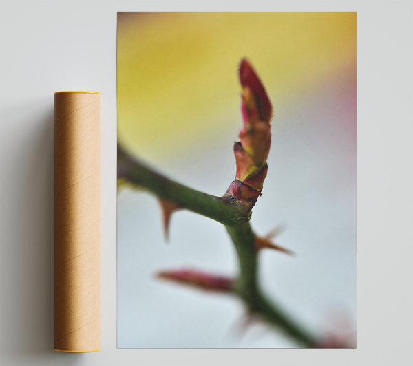 Red Rosebud Revival Poster