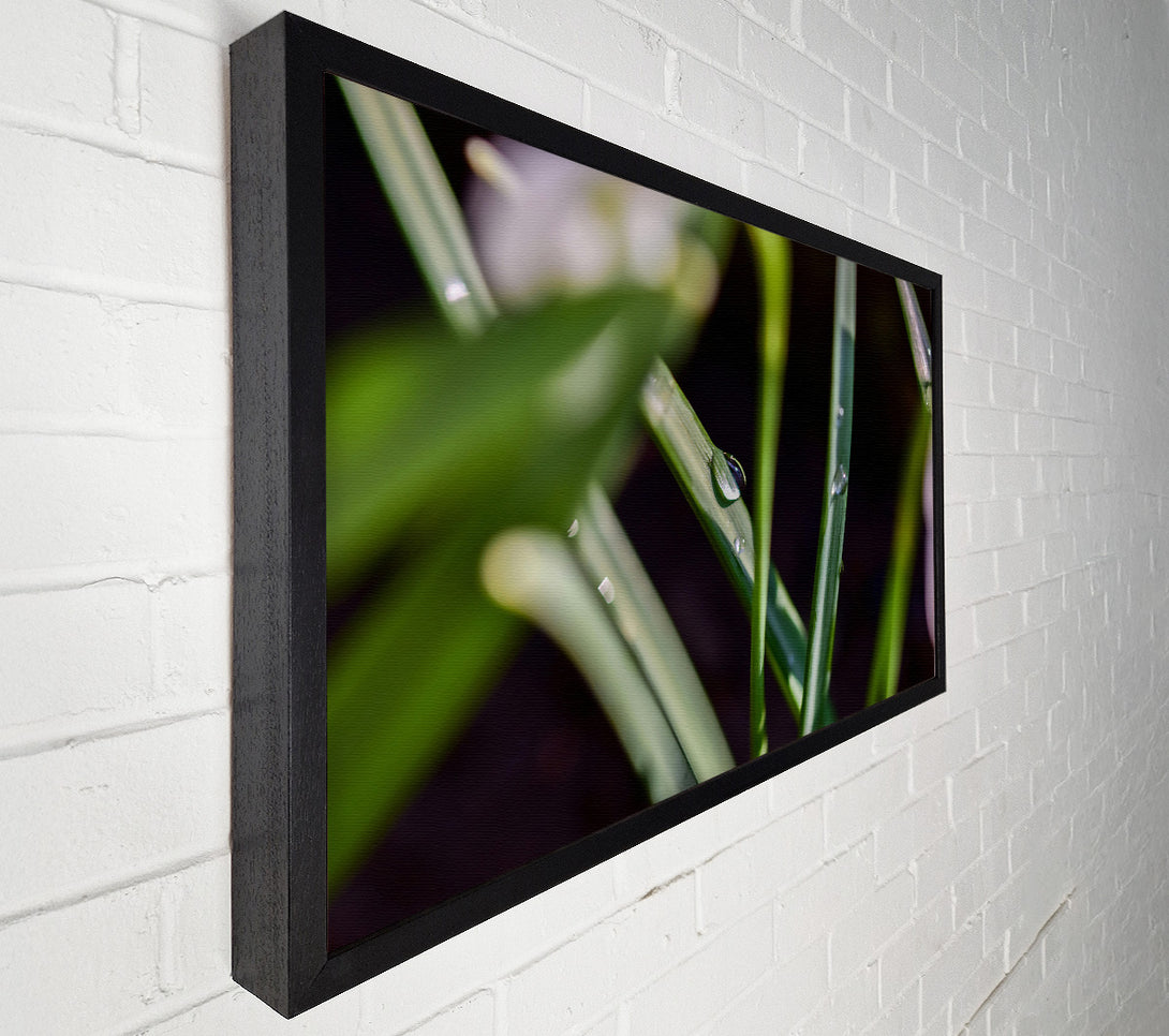  A Canvas Print of Emerald Dewdrop Canvas Art