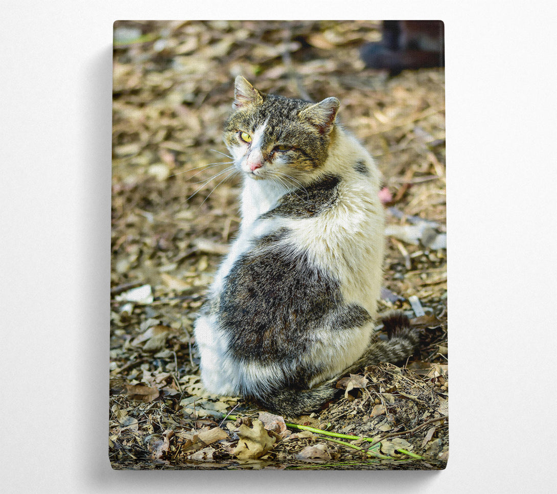 A Canvas Print of Loading... Canvas Print