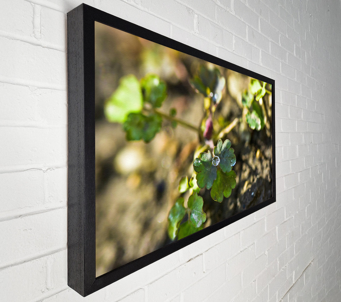  A Canvas Print of Emerald Green Dewdrop Canvas Print