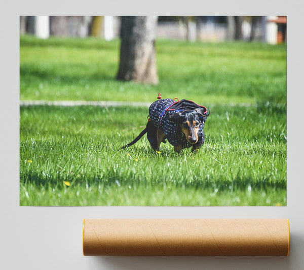 Green & Blue Dashing Dog Print