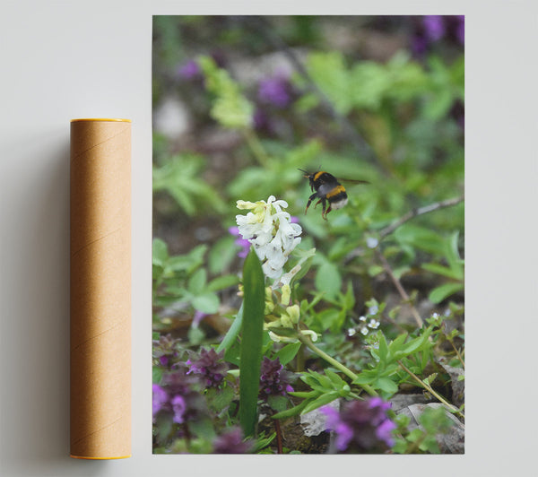 Green Bumble & White Bloom Print