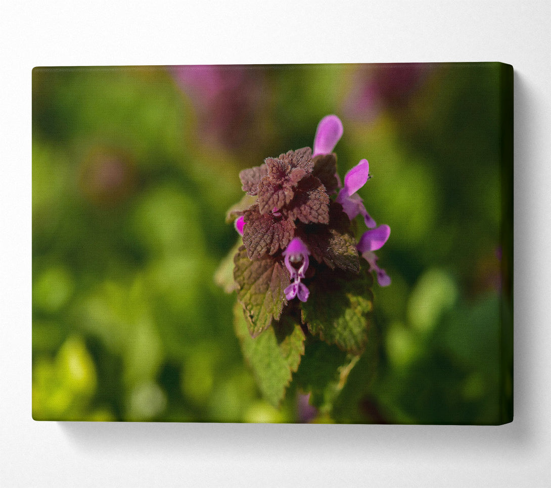  A Canvas Print of Loading... Canvas Print