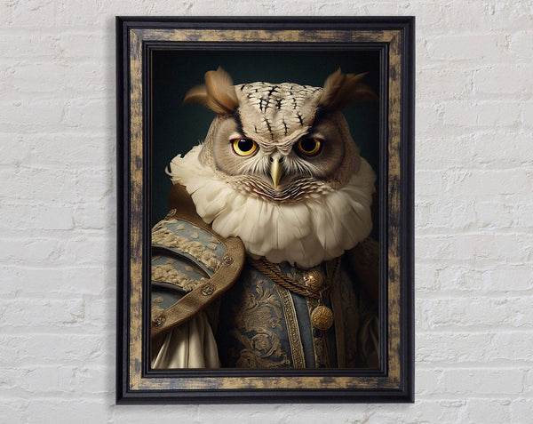 Owl Renaissance Framed Print