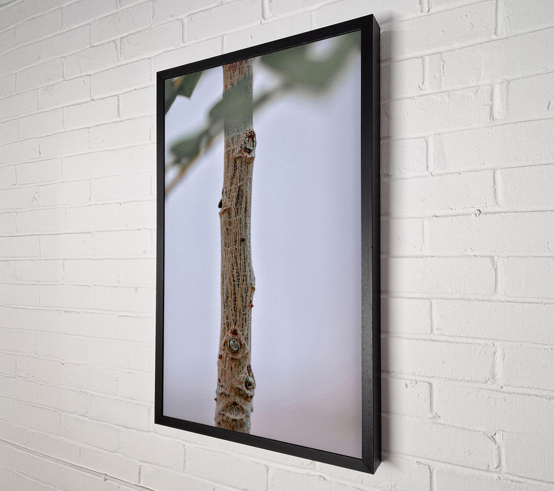  A Canvas Print of Brown Branch Texture Canvas Print