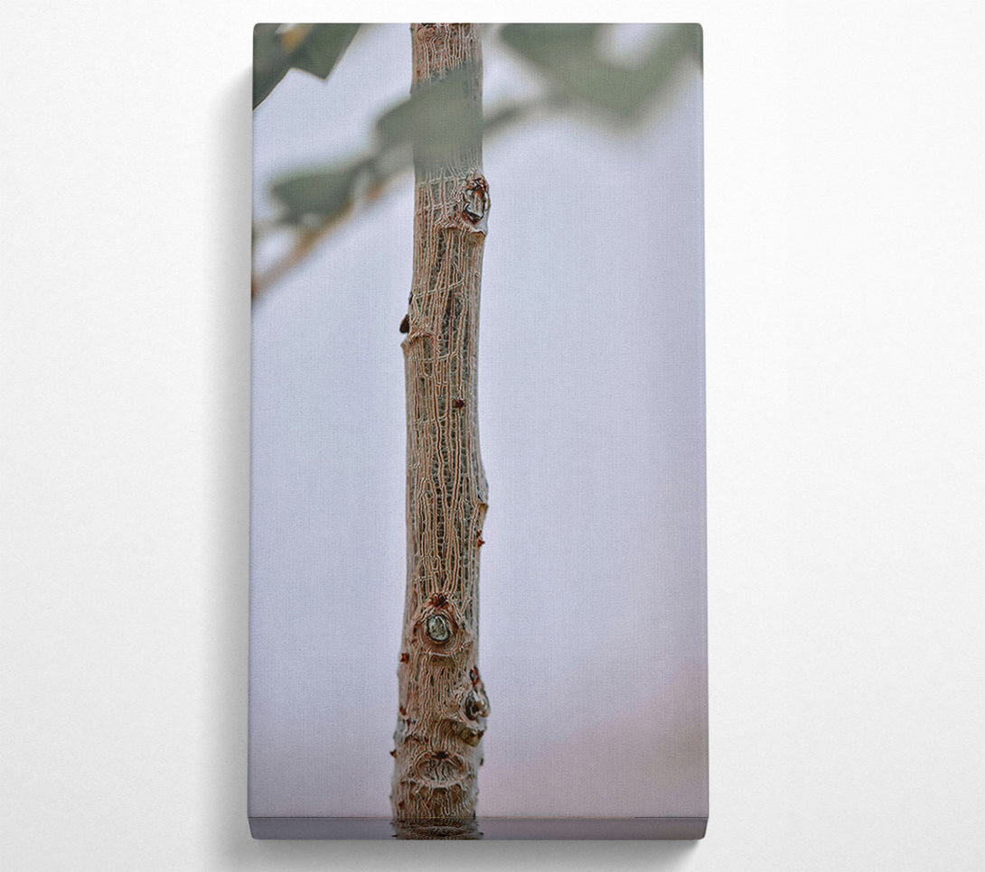  A Canvas Print of Brown Branch Texture Canvas Print