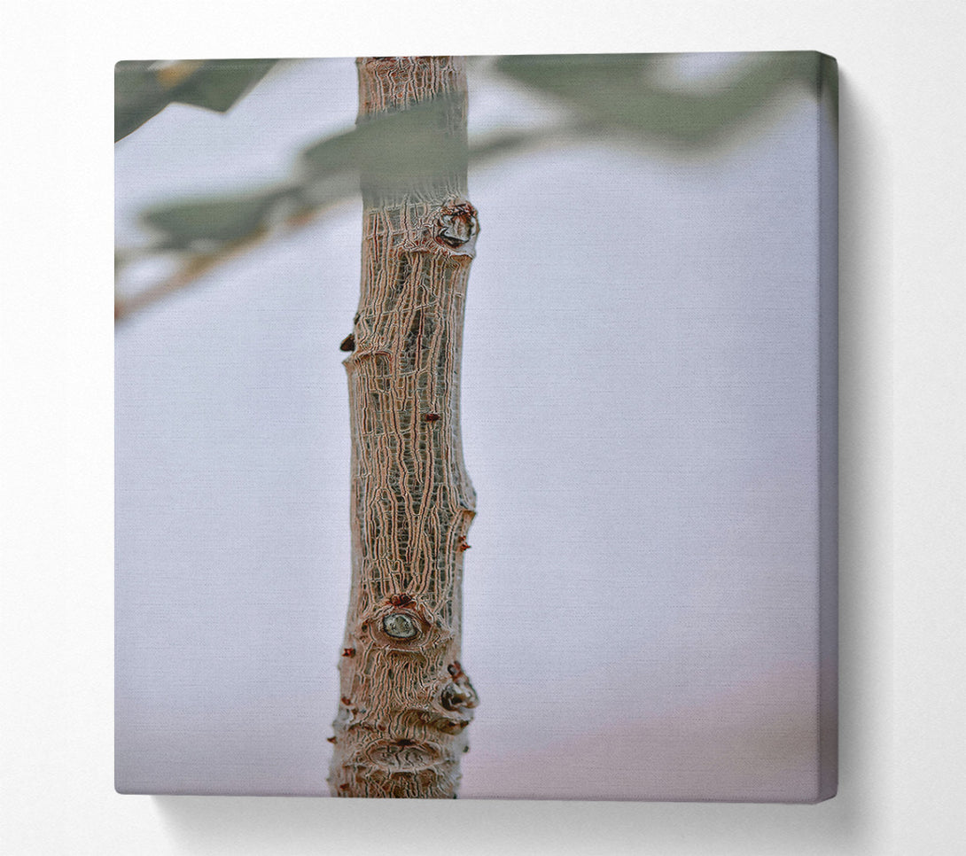  A Canvas Print of Brown Branch Texture Canvas Print
