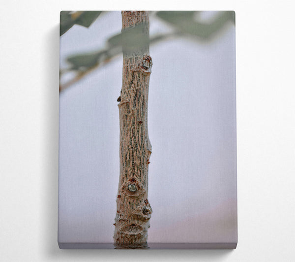  A Canvas Print of Brown Branch Texture Canvas Print