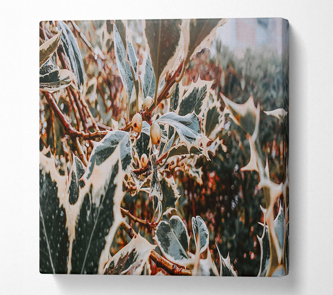  A Canvas Print of Emerald Holly Dewdrops Canvas Wall Art