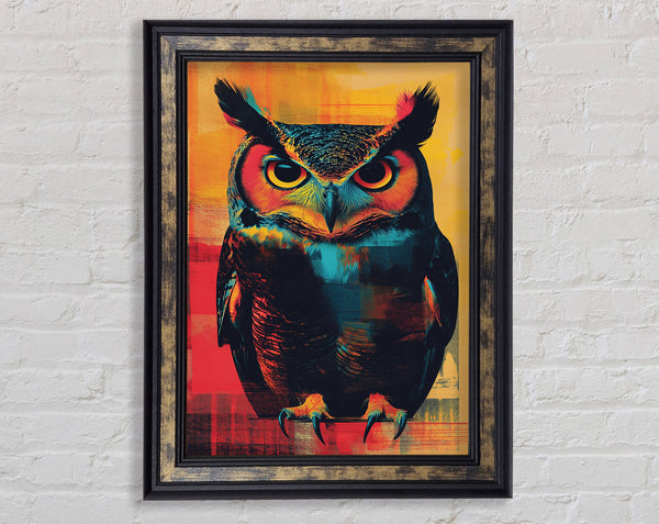 Owl Framed Print