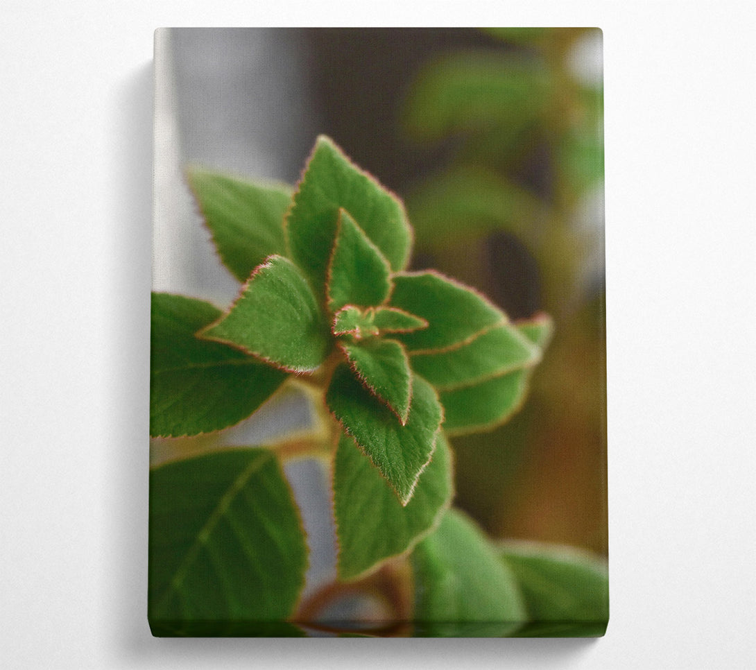  A Canvas Print of Emerald Leaf Embrace Canvas Art