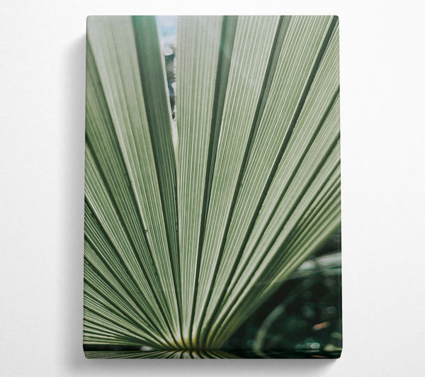  A Canvas Print of Emerald Green Fan Canvas Art