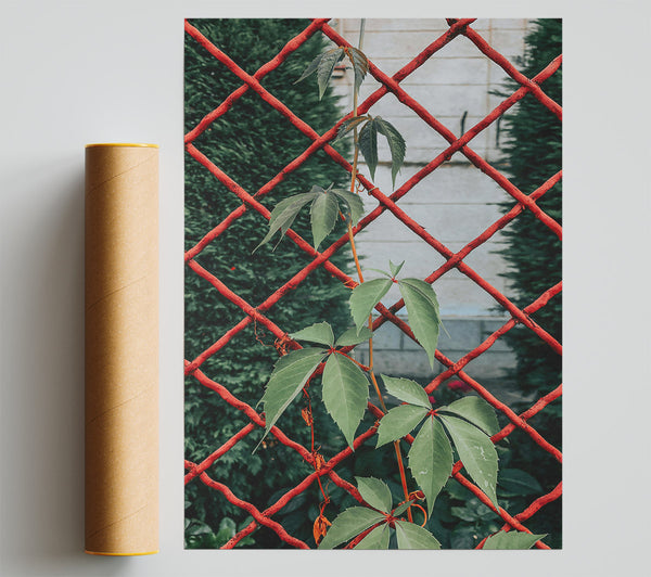 Red Vines And Green Leaves Print