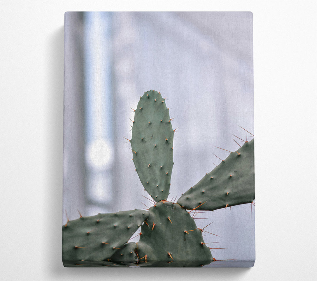  A Canvas Print of Green Cactus Spines Canvas Print