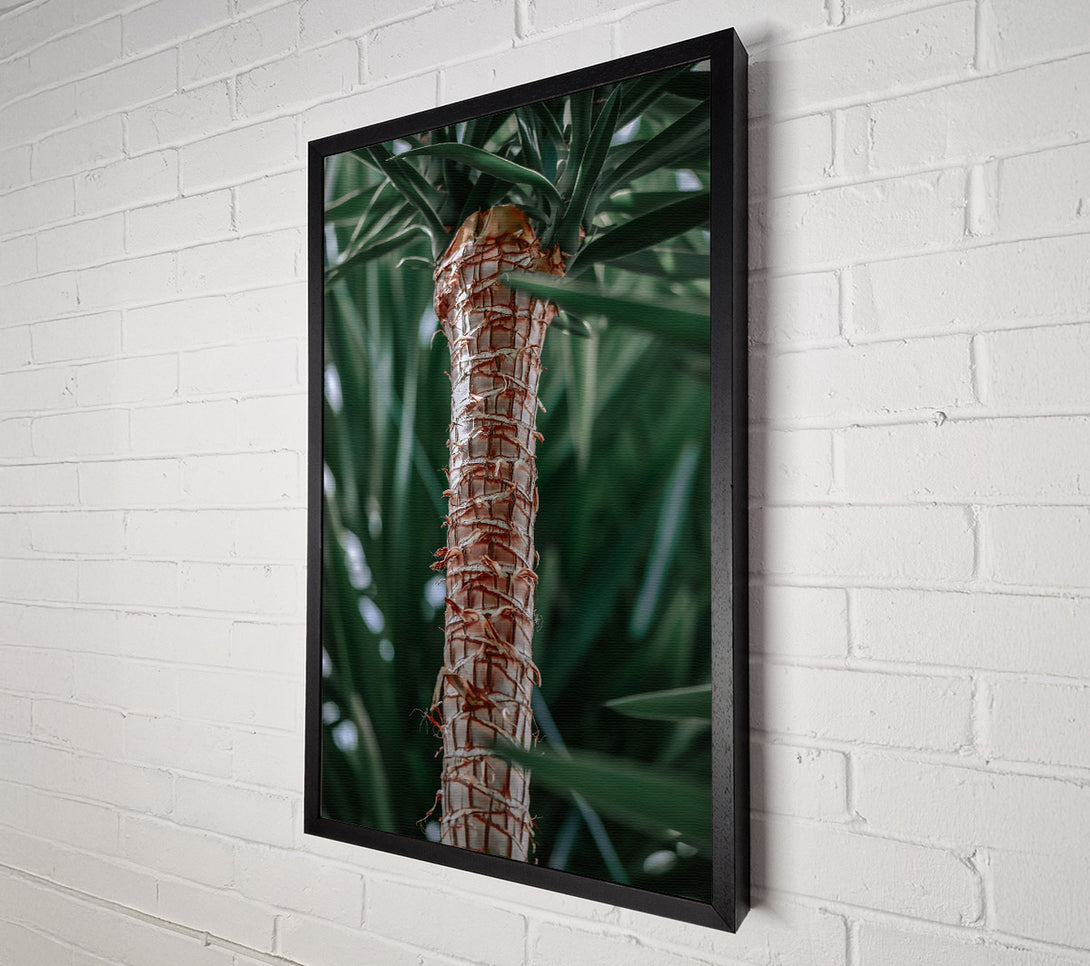  A Canvas Print of The Tan Trunk Canvas Art