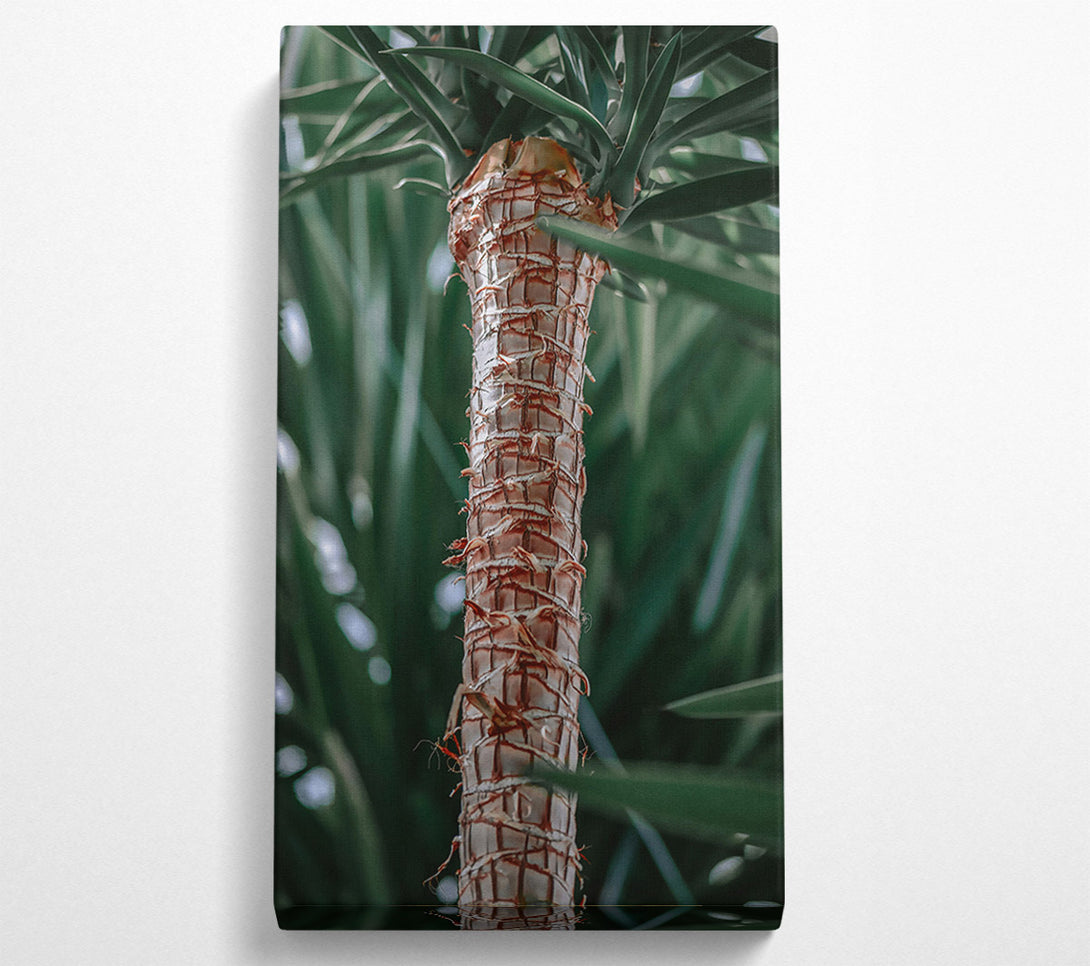  A Canvas Print of The Tan Trunk Canvas Art