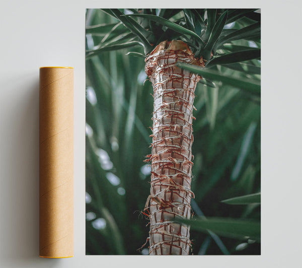 The Tan Trunk Giclee Print