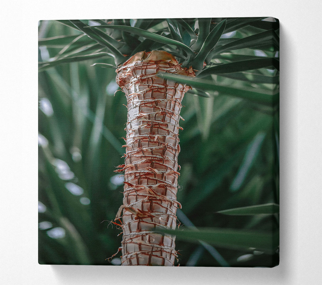  A Canvas Print of The Tan Trunk Canvas Art