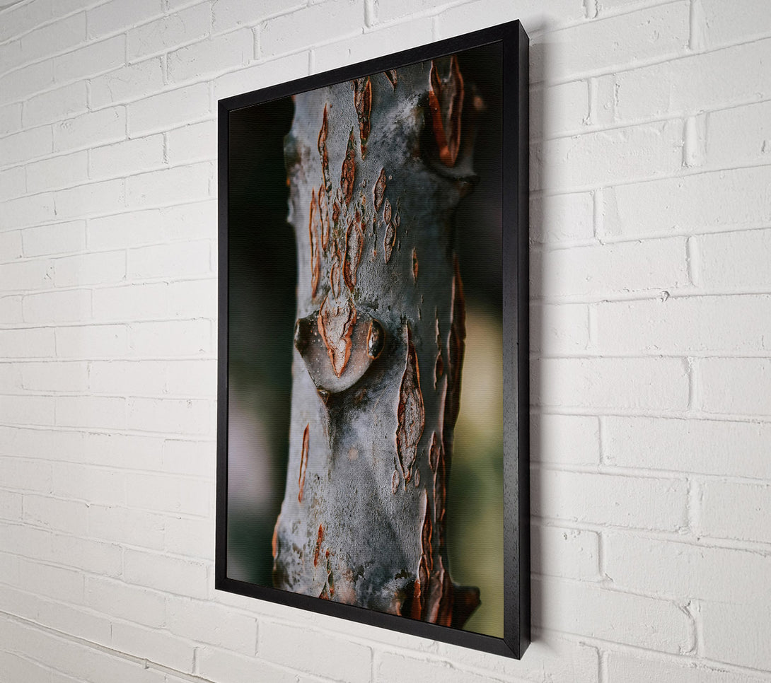 A Canvas Print of Rustic Grey Bark Canvas Wall Art