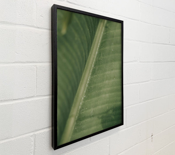 Emerald Leaf Lines