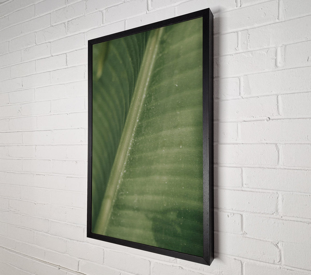  A Canvas Print of Emerald Leaf Lines Canvas Print