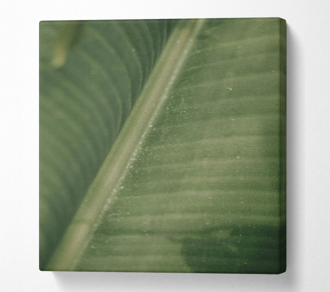  A Canvas Print of Emerald Leaf Lines Canvas Print