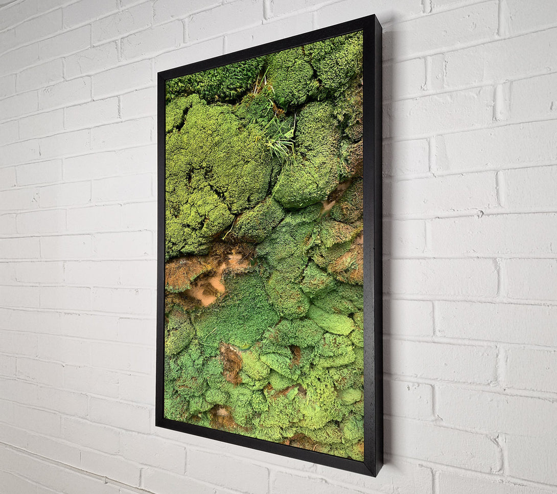  A Canvas Print of Emerald Mossy Wall Canvas Wall Art