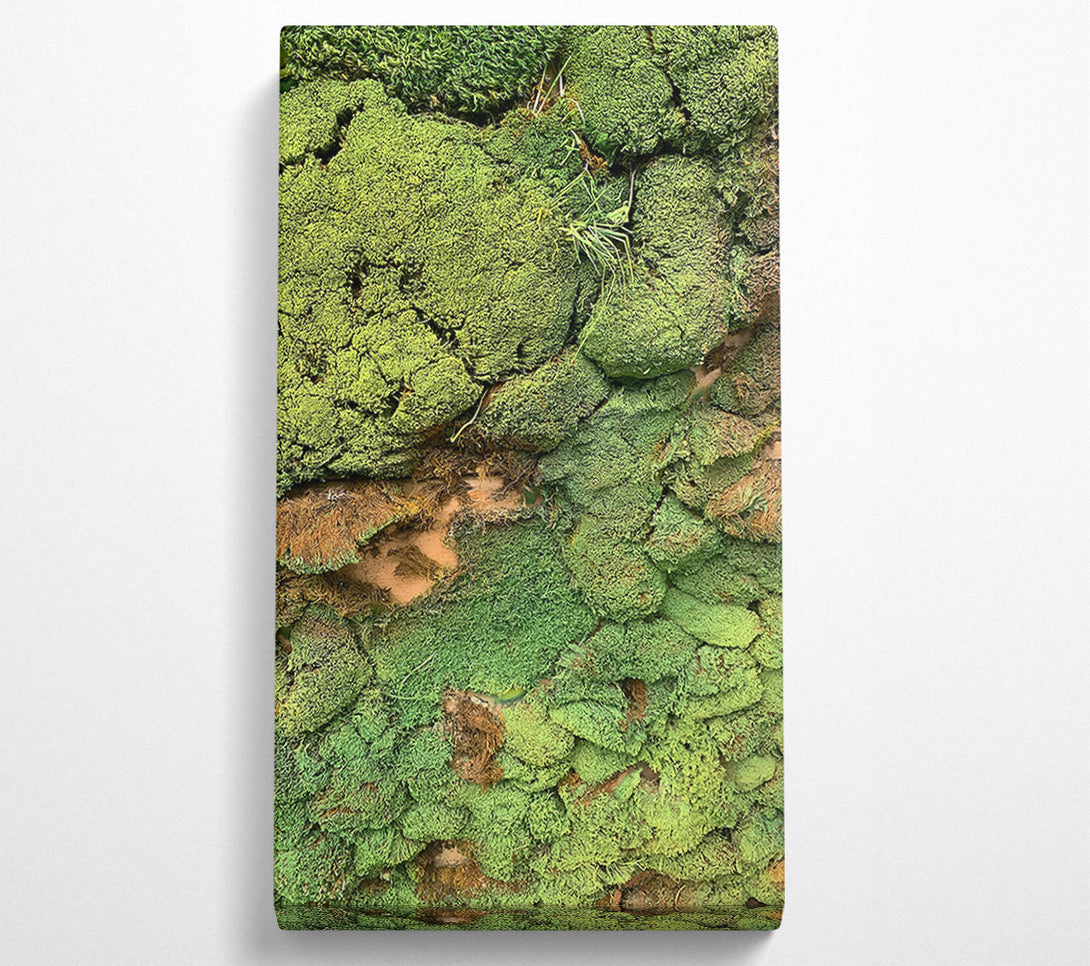  A Canvas Print of Emerald Mossy Wall Canvas Wall Art
